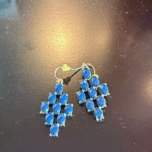 Elegant Blue Dangle Earrings